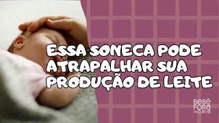 Uma soneca prolongada pode prejudicar minha produção de leite [upl. by Eicnahc915]