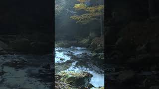 relaxing sounds waterfall and for waterfall waterfallnoise foreststream [upl. by Kerin990]