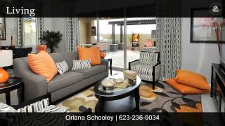 Lantana Model  Plan 4031  Verrado [upl. by Bork]