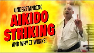 Understanding AIKIDO STRIKING and why it works  Marcus Encel sensei [upl. by Merrili]