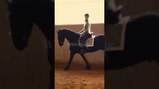 Pilsali whiteequine horse dressage equestrian edit [upl. by Nabala]