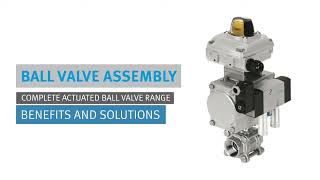 Festo Ball Valve Assembly Benefits and Solutions [upl. by Halehs957]