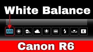 Canon R6 White Balance Tutorial  Photo and Video [upl. by Halac]