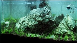 Nano Iwagumi Aquascape quotThe Big Onequot ADA Mini M  Step by Step [upl. by Nylesaj]