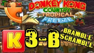 Donkey Kong Country Tropical Freeze 3B Bramble Scramble 100 Guide [upl. by Ahsiekat]