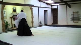 Katate Dori Sokumen Irimi Nage [upl. by Kenward20]