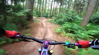 rogate downhill bike park mtb  split richard [upl. by Flaherty652]