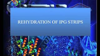 Lab session 2 2 Protein pre fractionation using Off gel fractionator [upl. by Sel]