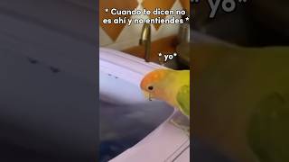 Como Cuando la Vida te Vale 😂 humor shorts viralvideo [upl. by Silirama]