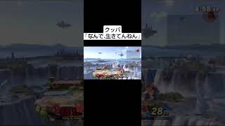 うちのキンクルは生命力高い…スマブラsp キンクル クッパ 不死身ミーク [upl. by Gamal]