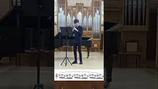 B Martinů Oboe Concerto 2º mov Cadenza Recitativo [upl. by Nagel166]