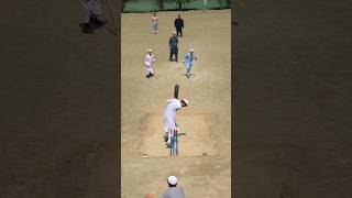 Check This  Local Cricket Fun Maza cricket kpkcricket ytshorts foryou [upl. by Araid]