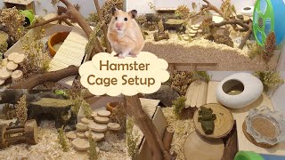 Natural Hamster Cage Setup [upl. by Kenney668]