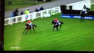 Dodging bullets beats sprinter sacre [upl. by Stilwell862]