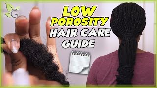 The BEST HAIR CARE TIPS for LOW POROSITY hair [upl. by Adrahc161]