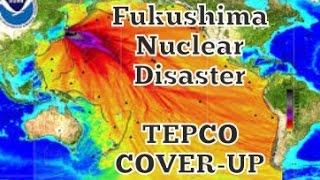 Fukushima nuclear disaster cover up TEPCO [upl. by Nyltac63]