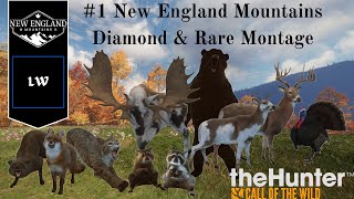 1 Diamond amp Rare Montage New England Mountains  Thehunter Call of the Wild [upl. by Hgielyak]