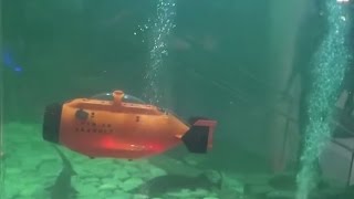 TTRobotix Seawolf sub takes your GoPro on an aquarium voyage [upl. by Wescott]