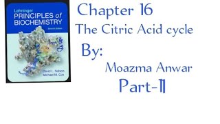 Reaction of the citric acid cycle chapter 16 Part2 in urdu lehninger principles of biochemistry [upl. by Sirrah]