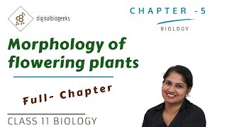 Morphology of Flowering Plants  Class 11 Biology [upl. by Ahsaercal]