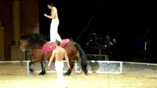 Horse Evolution Show 2009nov14 DebrecenHungary  8 [upl. by Haniraz757]