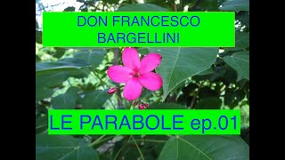 Parabole don Bargellini 01 [upl. by Einahpad220]