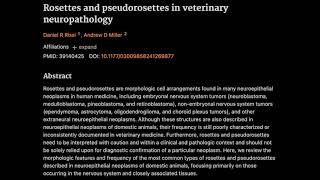 29 Rosettes and pseudorosettes in veterinary neuropathology [upl. by Lyndsey187]