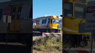 Translink train at level crossing Seidels Rd Walloon Queensland railwaytrain australiantrains [upl. by Xantha]