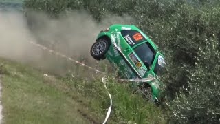 Rally Due Valli 2024  CRASHES amp MISTAKES [upl. by Nosreffej839]