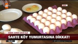 Sahte köy yumurtasına dikkat  atv Ana Haber [upl. by Dnomrej]