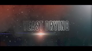 Beer yeast drying at home [upl. by Ahsekyw]