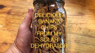 Making BANANA chips Using my DIY solar dehydrator great for snacks long term storage for SHTF [upl. by Aneele]