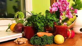 Parsley Kale Beet Carrot Juice  Take 3 [upl. by Harbed621]