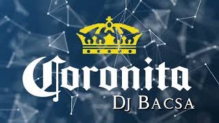 Legjobb Coronita Mix 2024 Február  Dj Bacsa [upl. by Arabele]