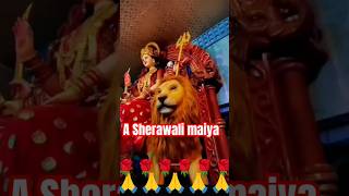 Bigdi meri bana de  New Hindi bhakti Song  Short video  🙏🙏🙏🙏🌹🌹🌺🌺👌👌 [upl. by Esoryram]