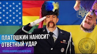 ПЛАТОШКИН НАНОСИТ ОТВЕТНЫЙ УДАРСтрим на Вестнике Бури [upl. by Aimak]