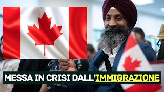 Il Canada non vuole più immigrati  Giravolta a quotUquot del governo [upl. by Gersham]