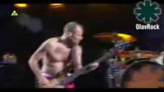 Red Hot Chili Peppers  Readymade Live High Quality [upl. by Charpentier]