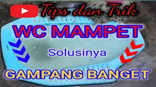 SOLUSI WC MAMPET [upl. by Alecia]