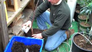 In The Garden Shop with Michael Toolson Episode 3 Monticello Applesmov [upl. by Eelahs]