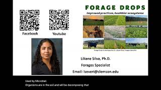 Cover crops Carbon to Nitrogen ratio and Residual Nitrogen [upl. by Laurinda]