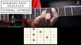 Hermoso eres  Exáltate  Coalo Zamorano y Danilo Montero  Tutorial de guitarra eléctrica  Acordes [upl. by Orit]