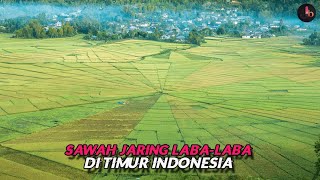 Lingko Sawah Jaring LabaLaba di Flores Nusa Tenggara Timur Indonesia [upl. by Llig]