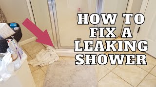 How To Fix A Leaking Framed Shower  Clogged Weep Holes Easy Fix [upl. by Nawoj149]