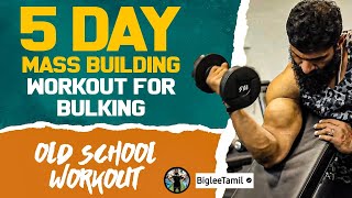 5 Day Mass Building Workout For Bulking  Old School Workout  Biglee Tamil [upl. by Ioved]