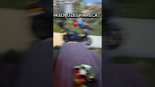 Kavaklı Beylikdüzün de motorla gezerken buldum motovlog kayıp kedi viral beylikdüzü kavaklı [upl. by Emmett125]