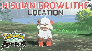 Where to Find Hisuian Growlithe in Pokémon Legends Arceus  Hisuian Growlithe Location [upl. by Ayinat]