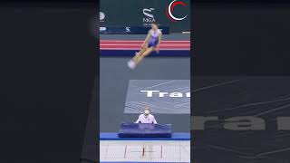 🥇 WORLD CHAMPIONSHIP Trampoline 2024 Bouncing to Victory [upl. by Ikceb509]