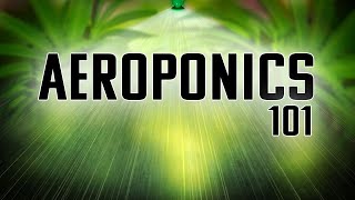 AEROPONICS 101  THE EPITOME OF GARDENING  THE BEST WAY TO GROW ANYTHING [upl. by Sotnas]