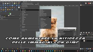 Come aumentare la nitidezza delle foto con GIMP [upl. by Gillmore]